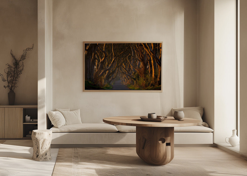 The Dark Hedges in the Morning Sunshine | Poster