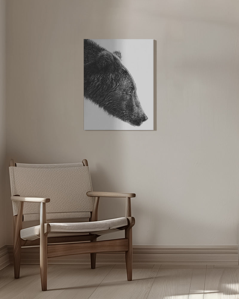 The Salmon Catcher | Canvas
