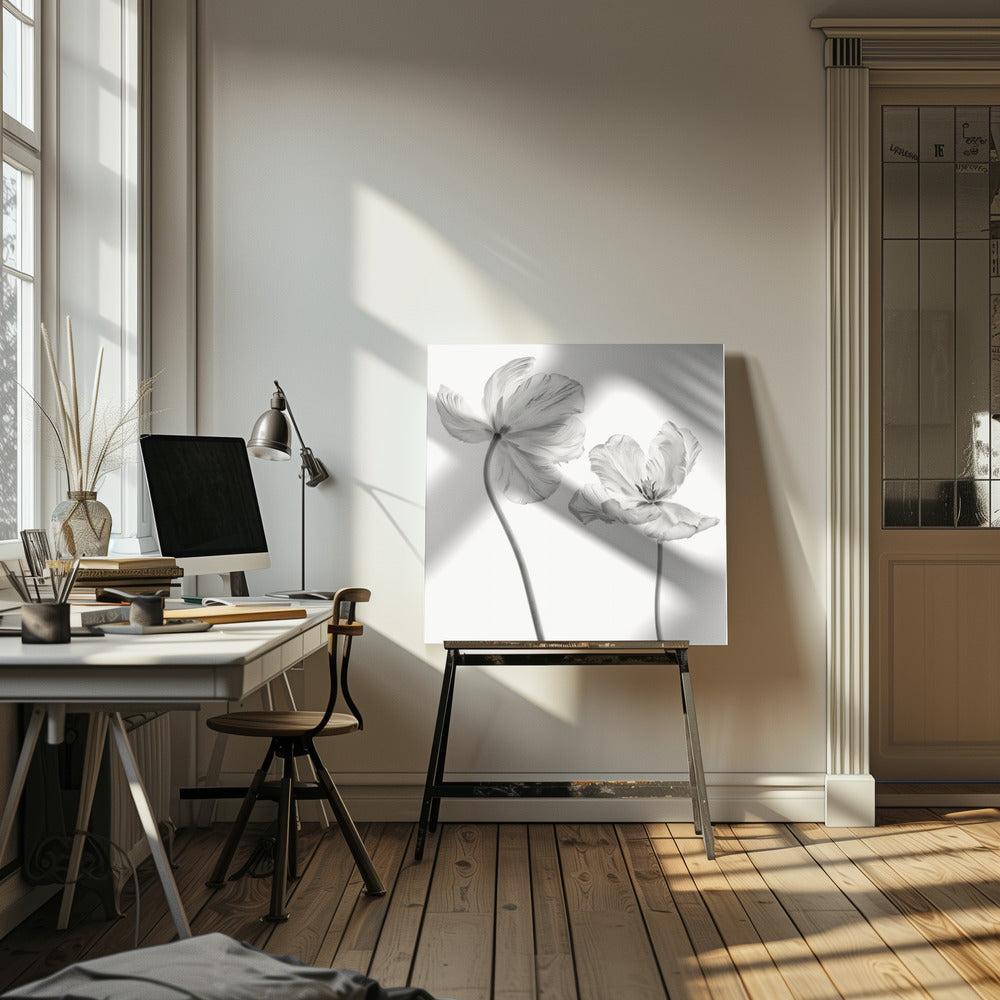Samma tulpan: fram- och baksida | Canvas