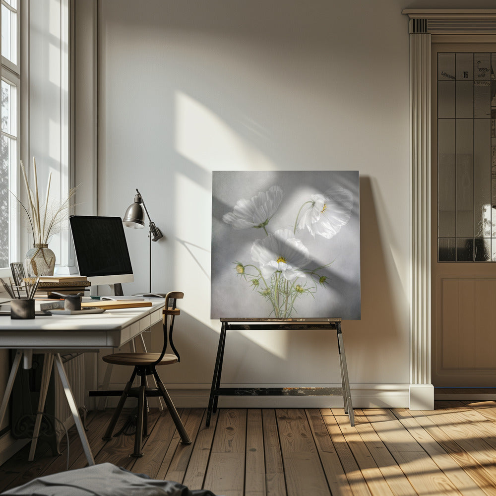 Cosmos Charm | Canvas