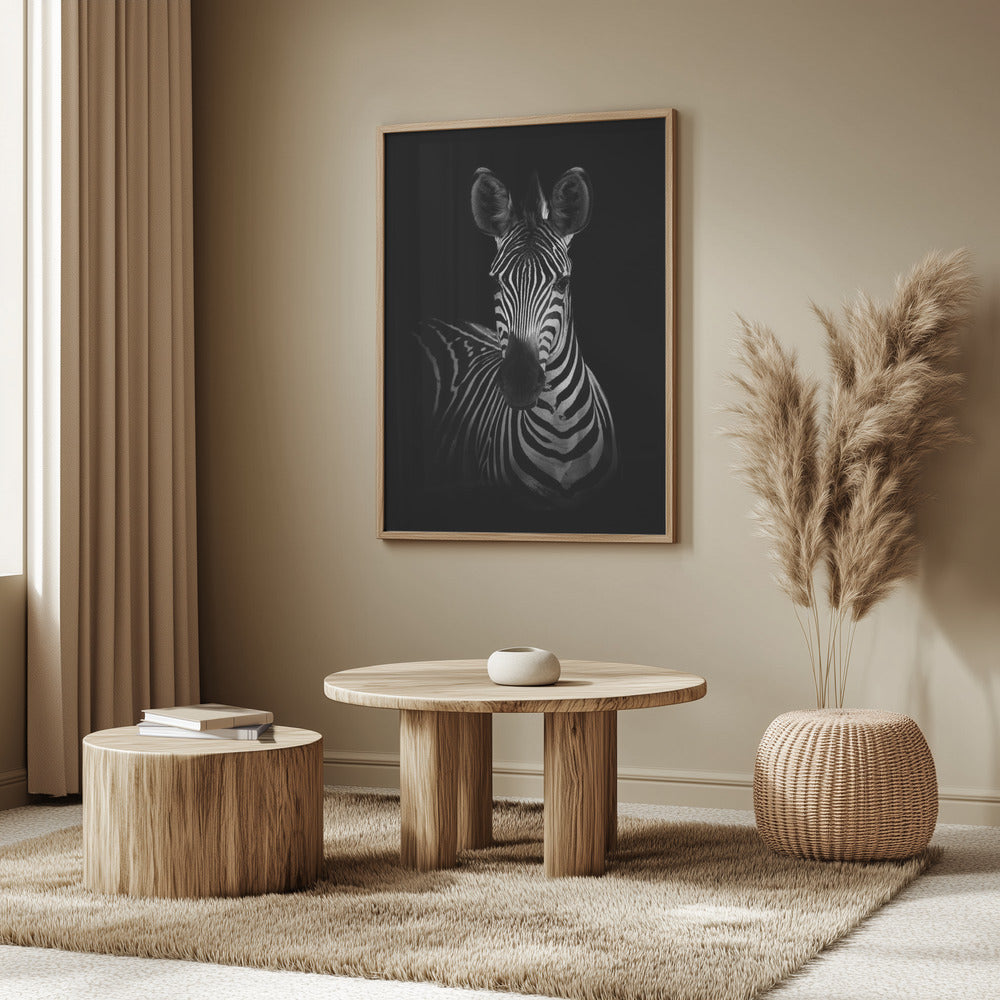 The Zebra | Poster