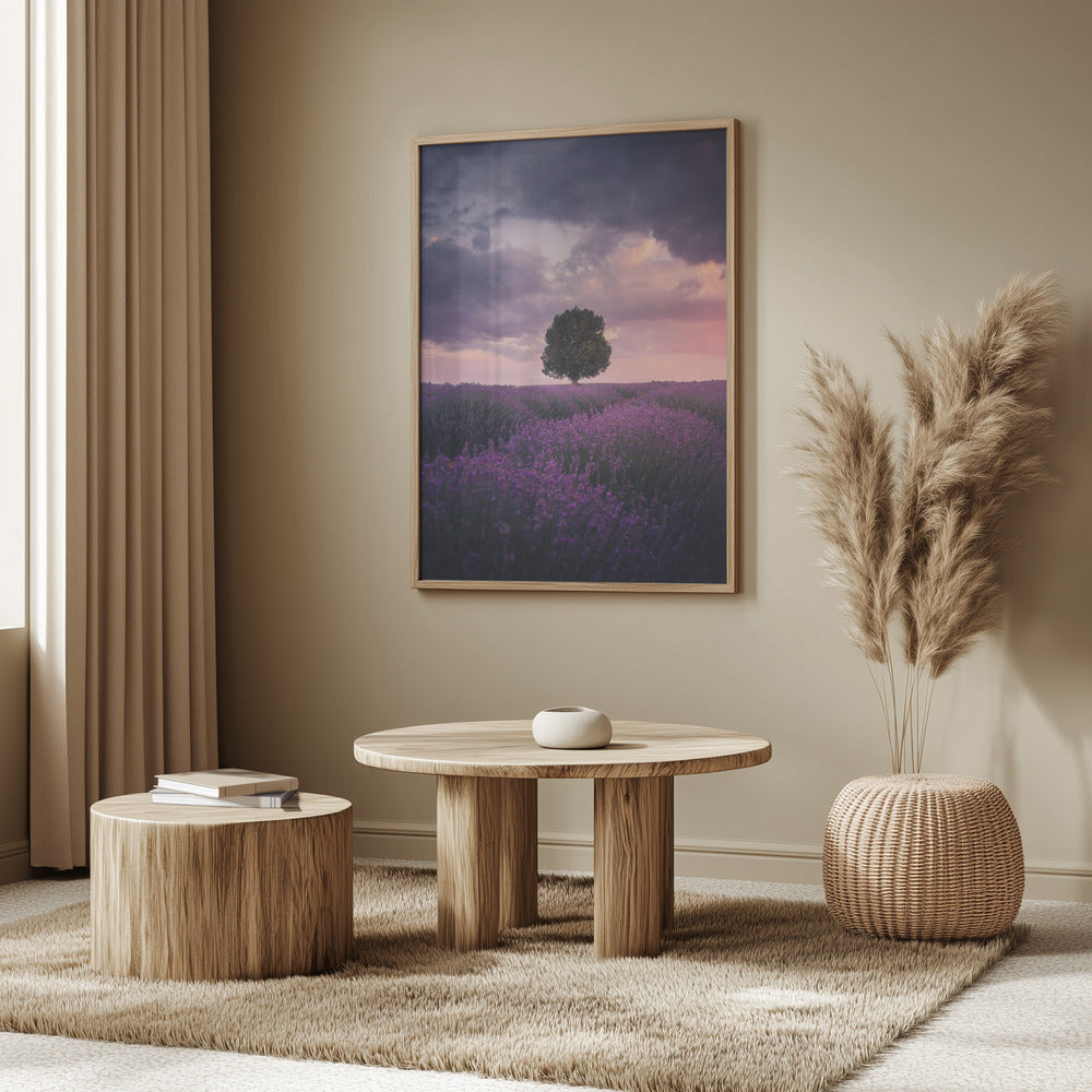 Lavender Fields, Isparta | Poster