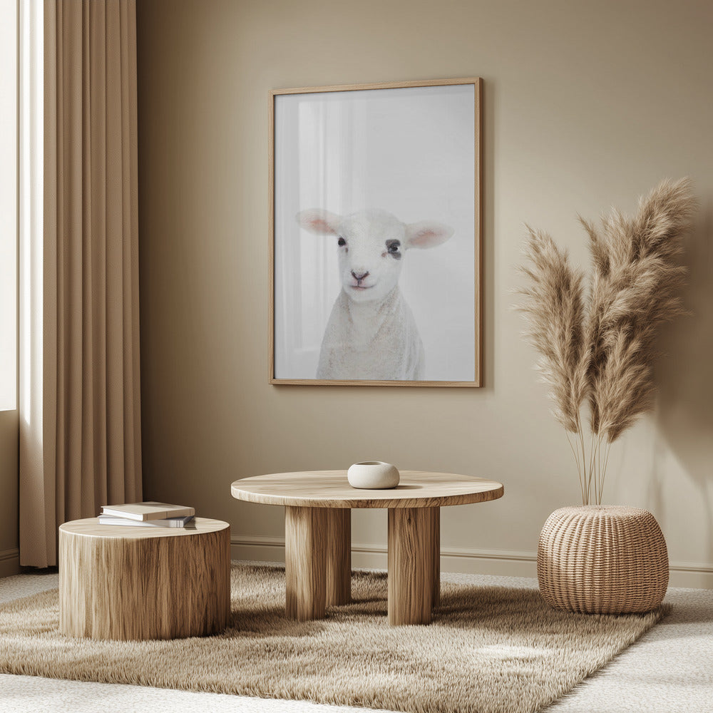 Lammbaby | Poster - Kunstdruck