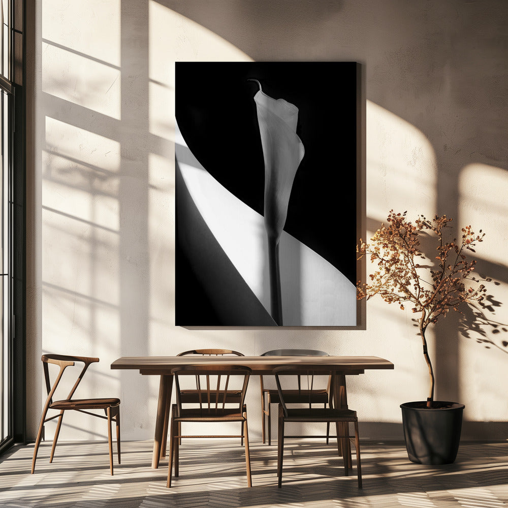Calla lily | Canvas