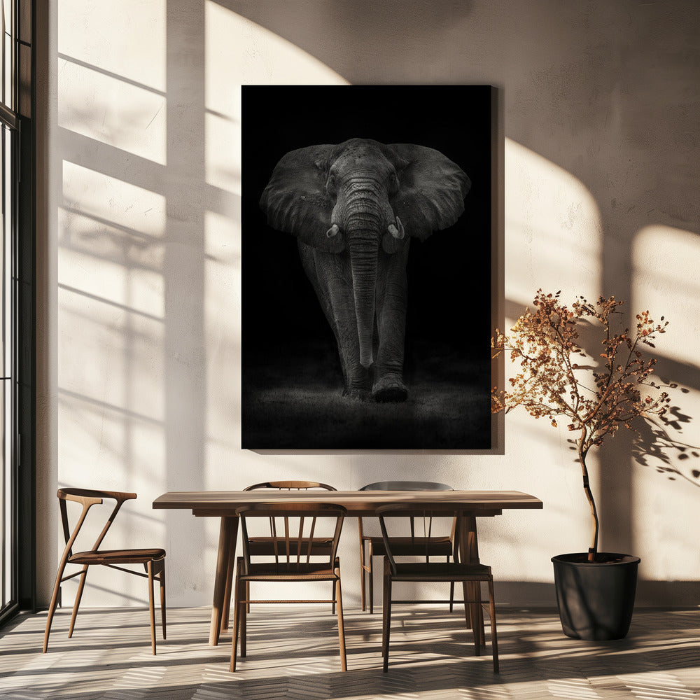 Ngorongoro Tyr | Lærredsbilleder