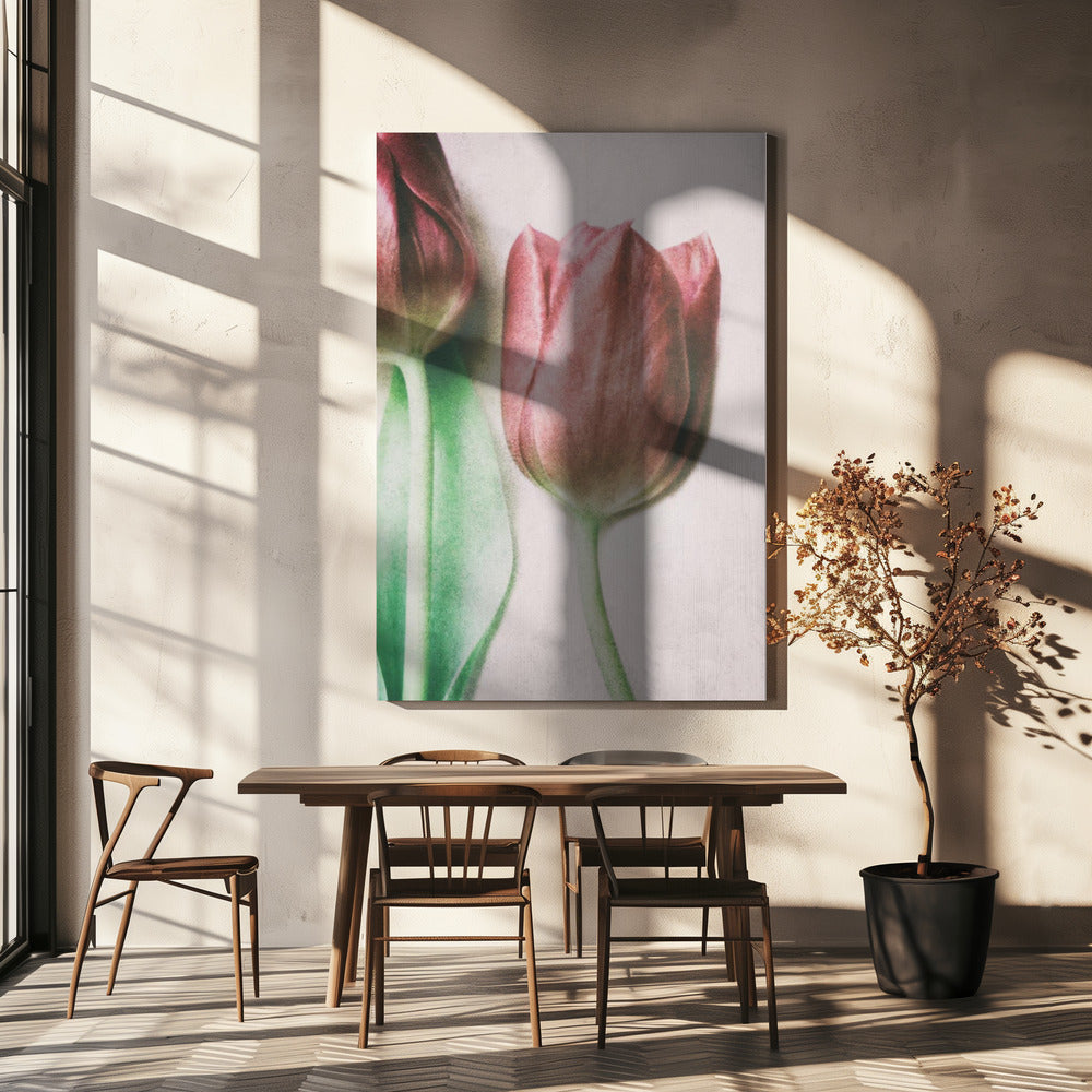 Les amoureux du printemps | Tableaux sur Toile