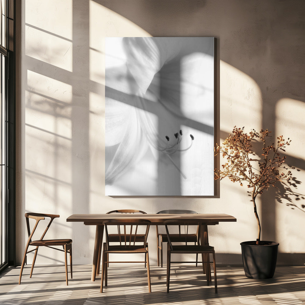 Blanc sur blanc | Tableaux sur Toile