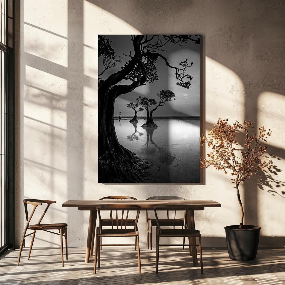 Framing | Canvas