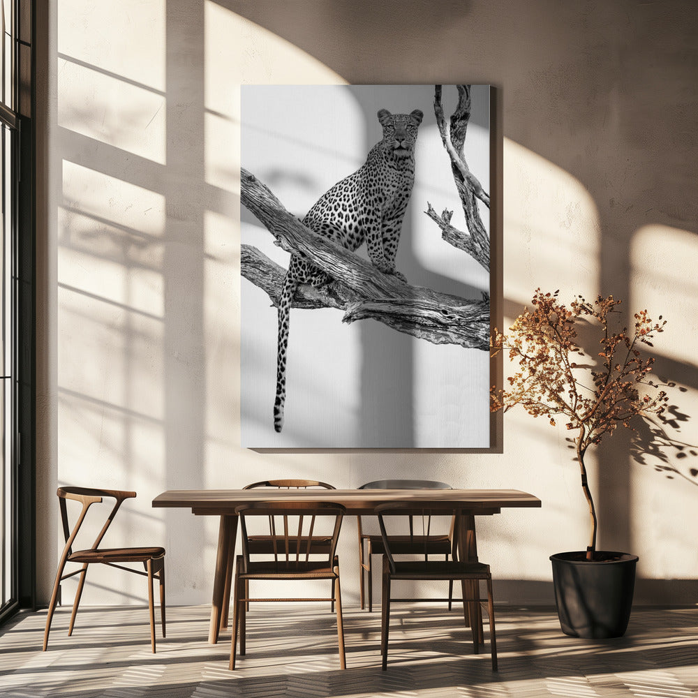 Leopard Portrait - Mono Var | Canvas