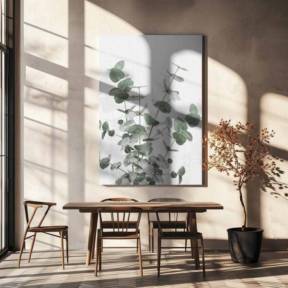 Eukalyptus Kreativitet 16 | Canvas