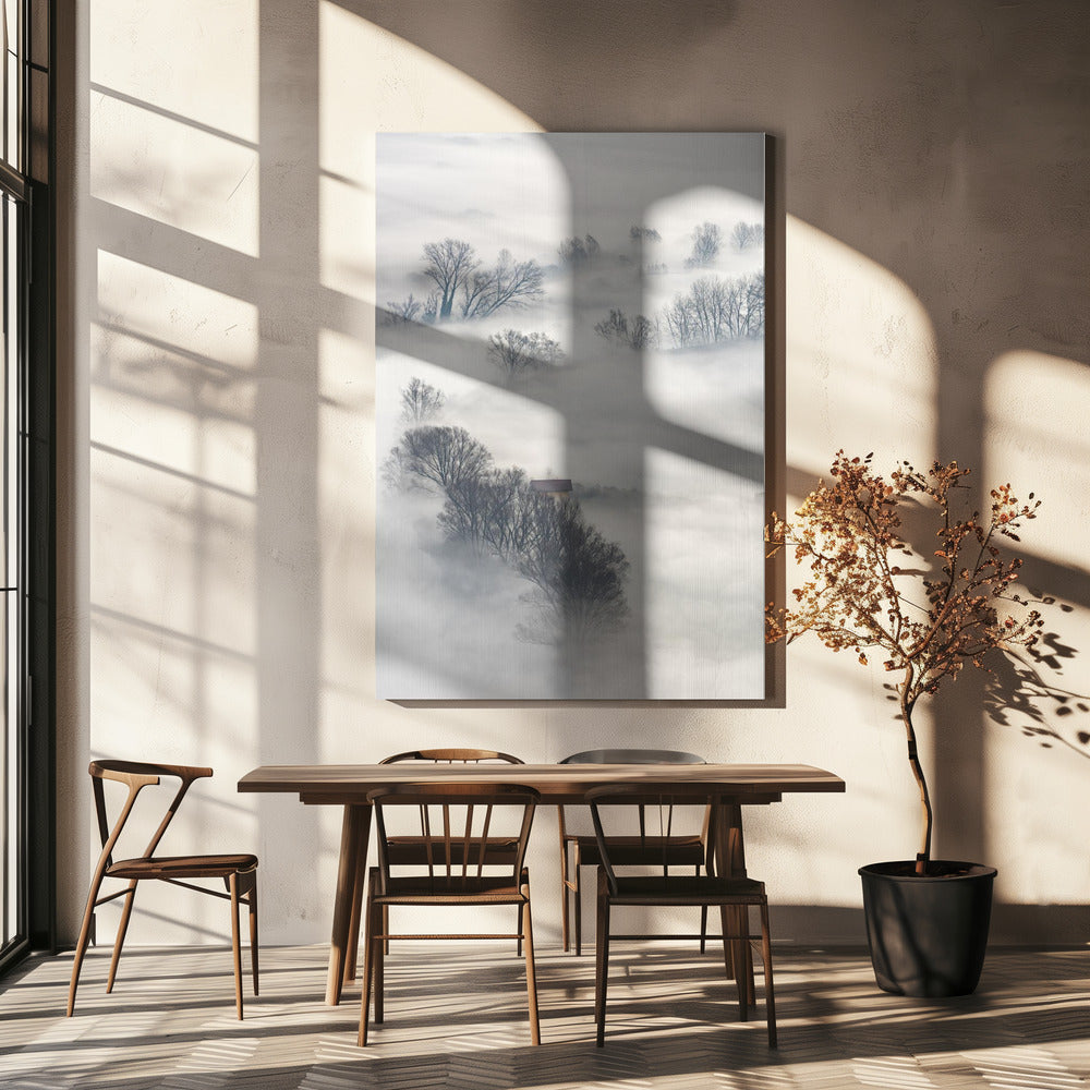 Trees in the fog | Canvas