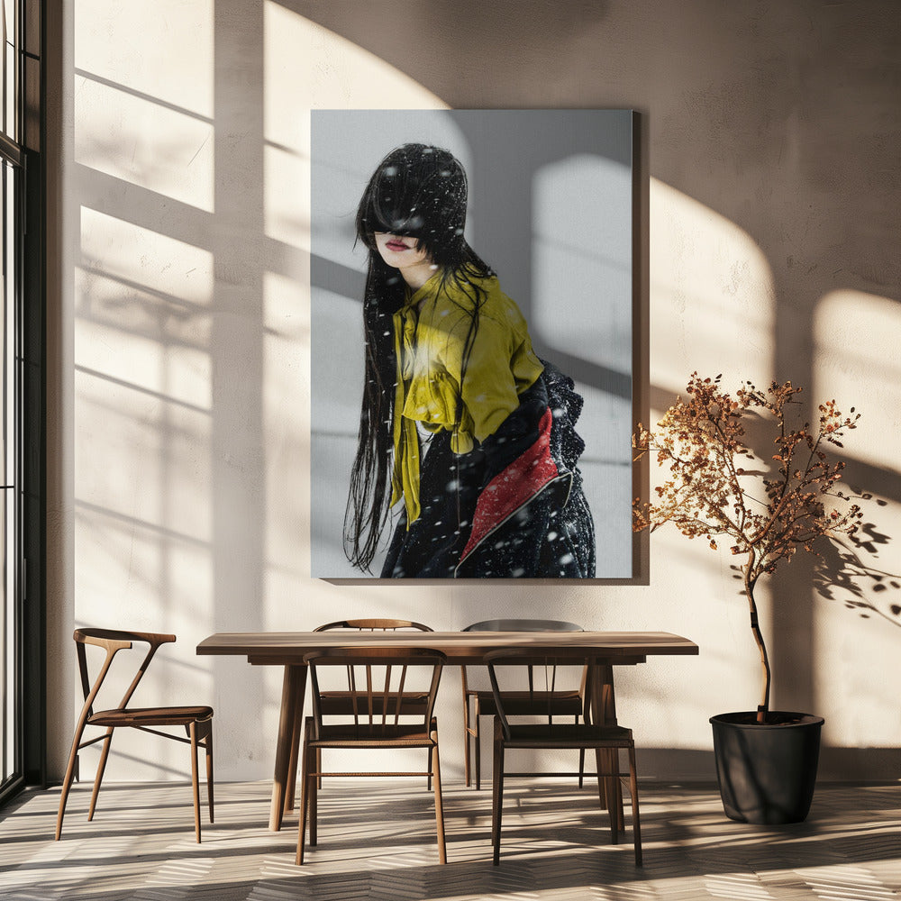 The beginning of snow | Canvas