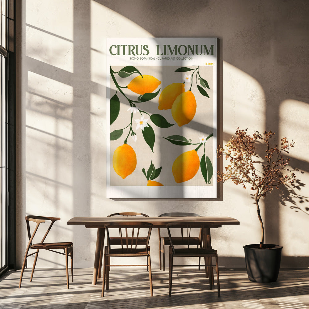 Citrus Limonum - Cytryna | Wydruki na łótnie