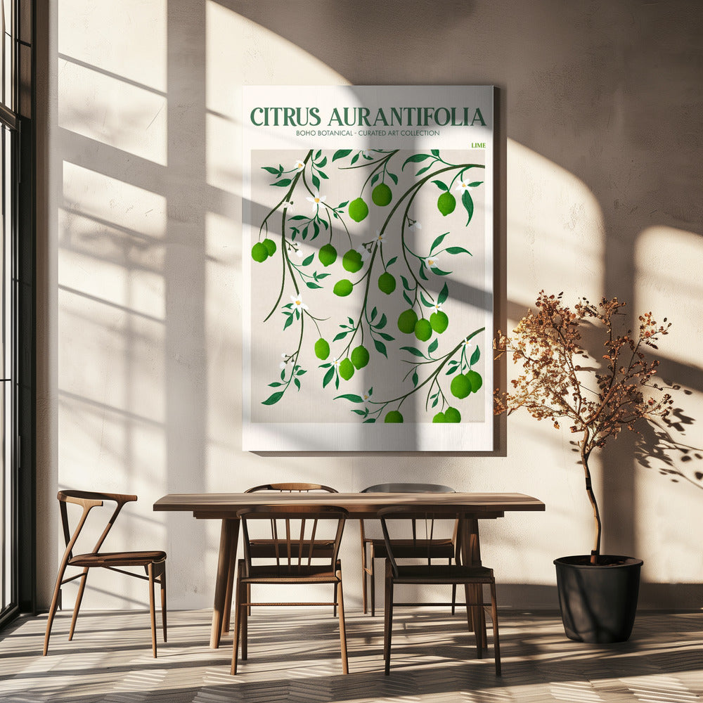 Citrus Aurantifolia – Limette | Leinwand-Bilder