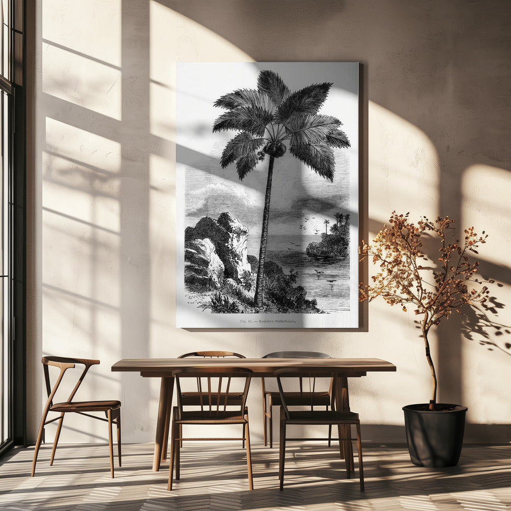 Vintage palmträdteckning I | Canvas