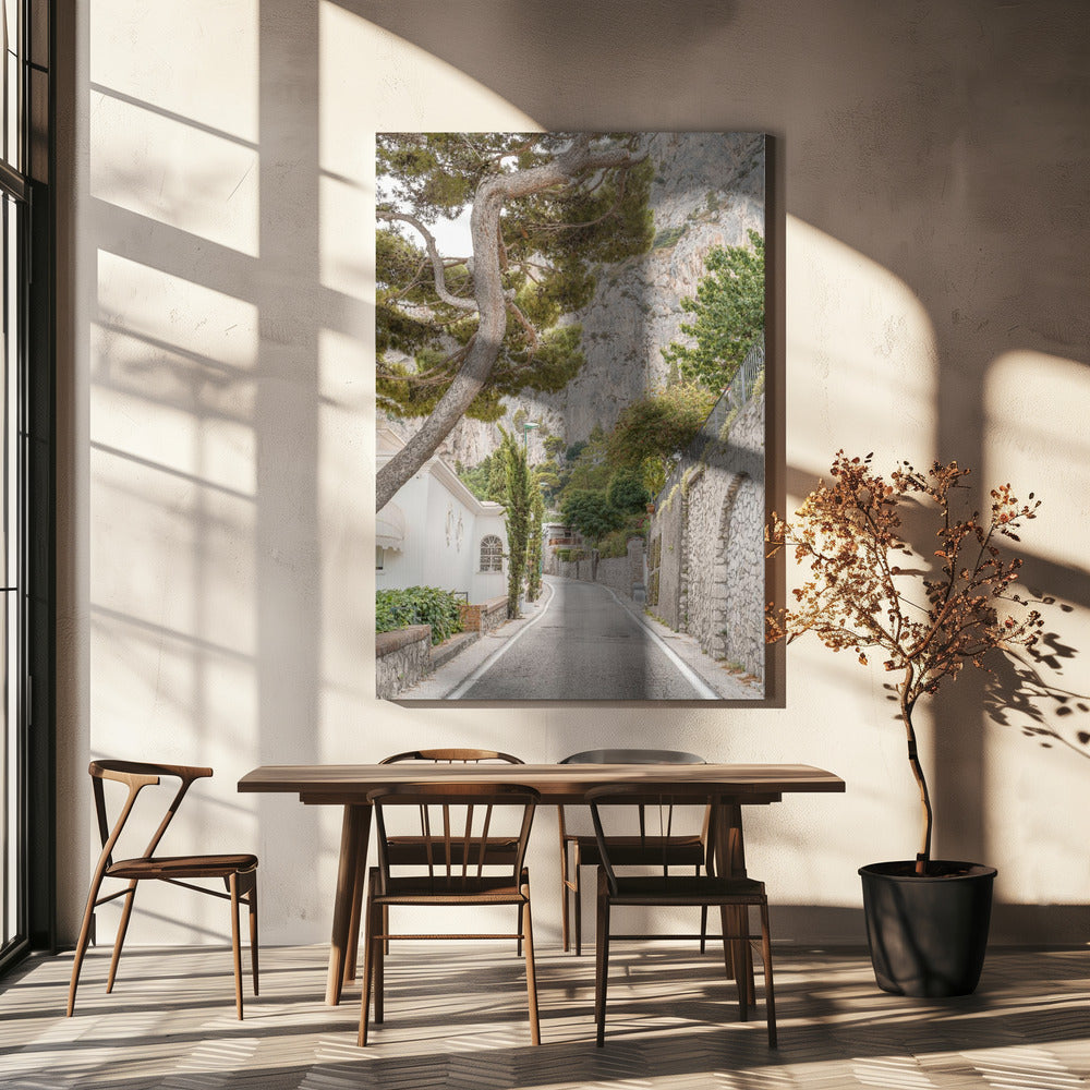 Straßen von Capri | Leinwand