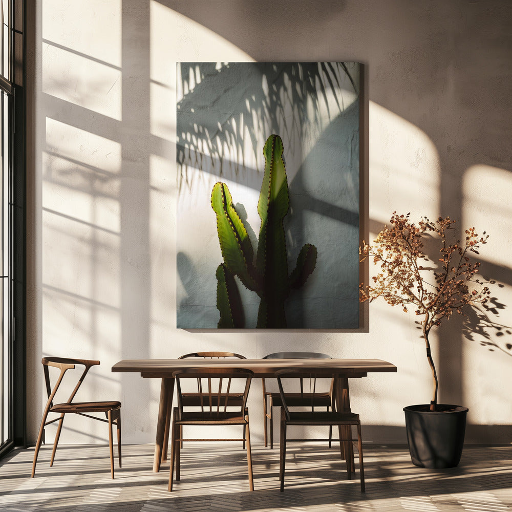 Südliche Schatten | Leinwand-Bilder