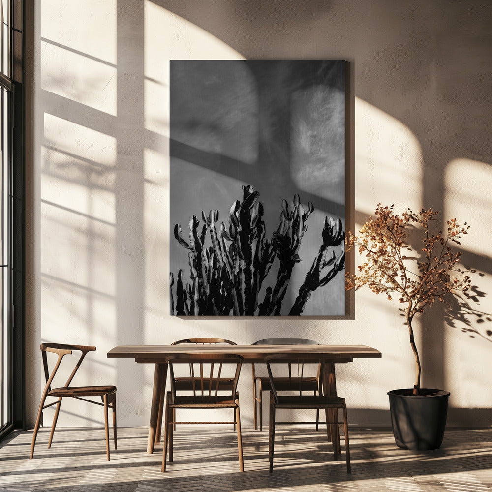 Ciel de cactus monochrome | Tableaux sur Toile