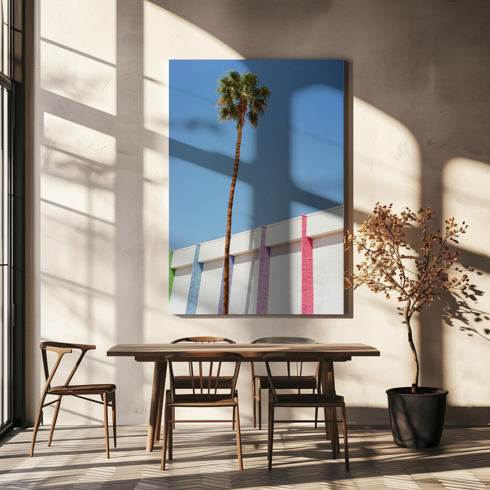 Palm Springs II | Leinwand-Bilder