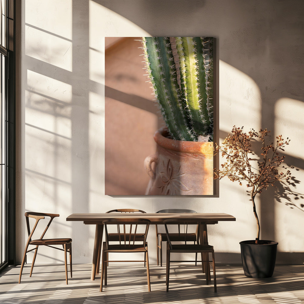 Grün auf Orange | Reisefotografie in Marrakesch | Leinwand-Bilder