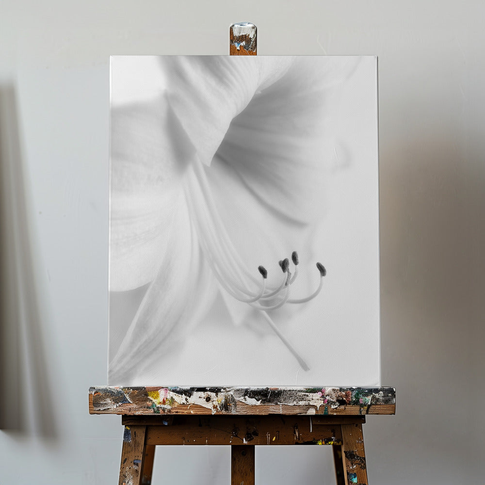 Blanc sur blanc | Tableaux sur Toile