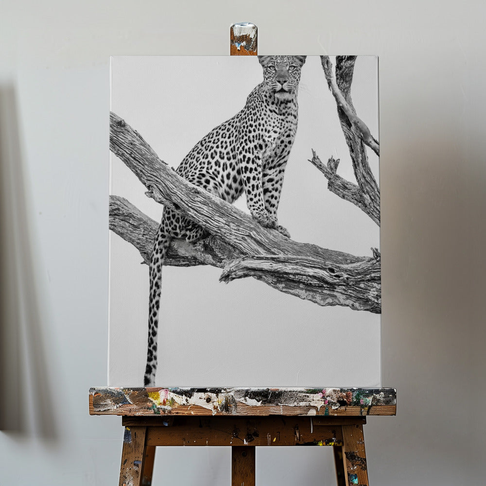 Leopard Portrait - Mono Var | Canvas