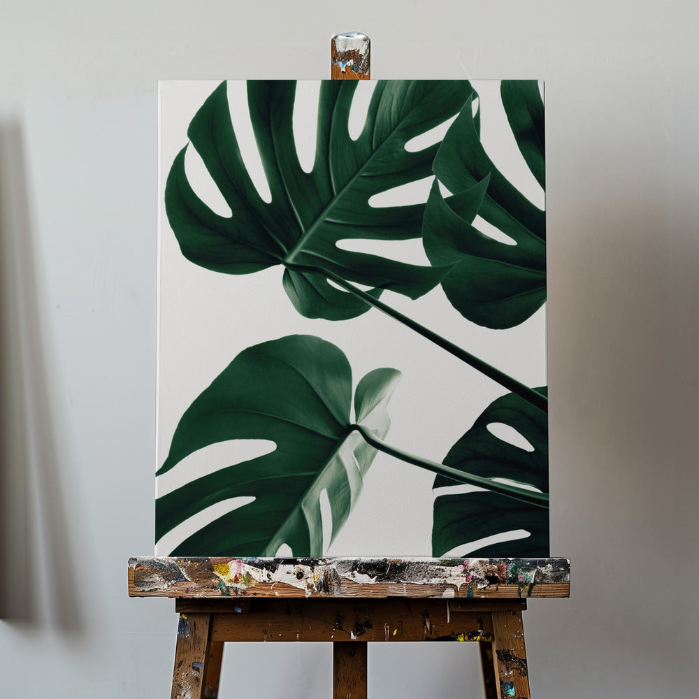 Monstera Natural 43 | Canvas
