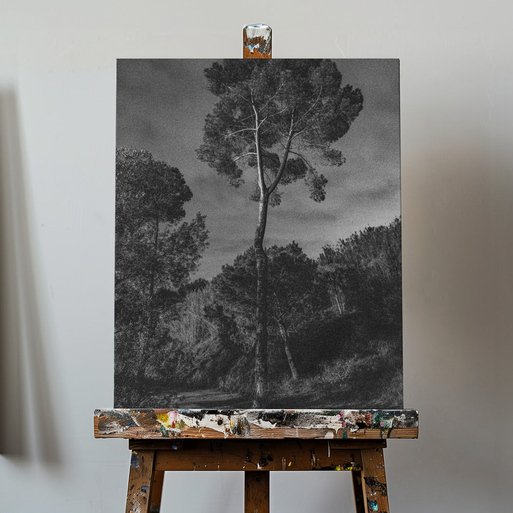 arbores | Canvas