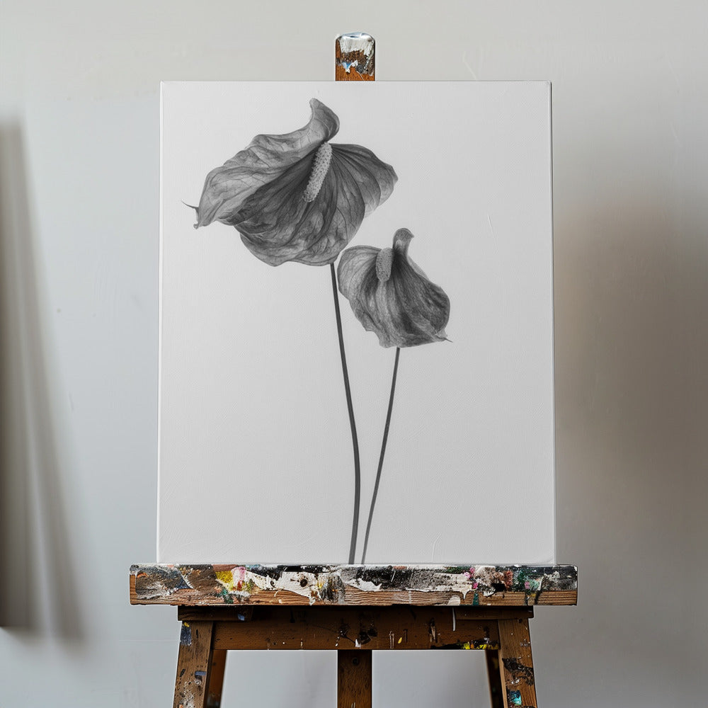 Anthurie | Leinwand-Bilder
