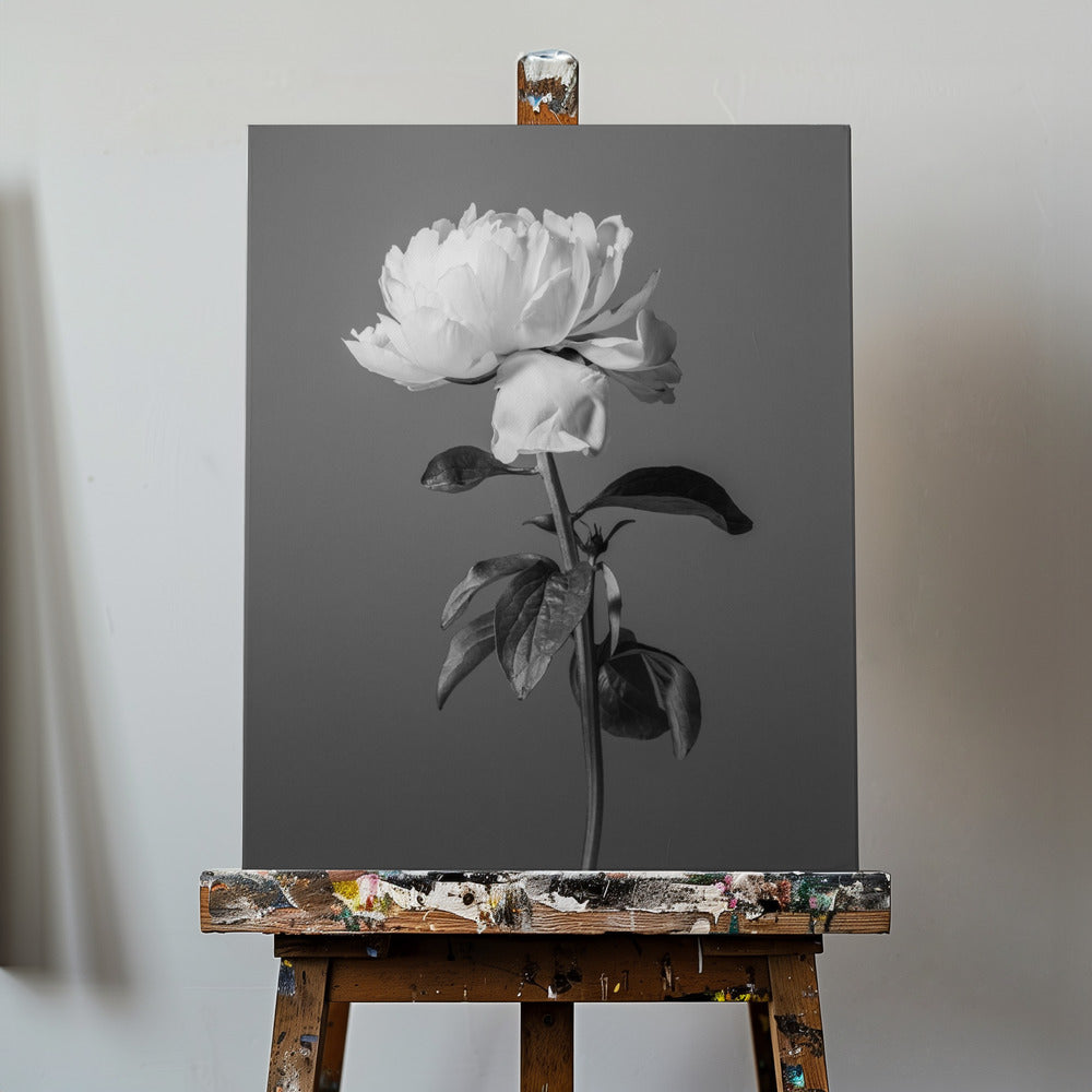 Pivoine BW | Tableaux sur Toile