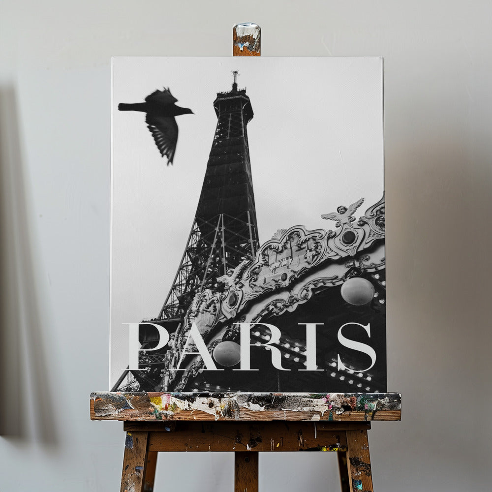 Paris Dove | Canvas