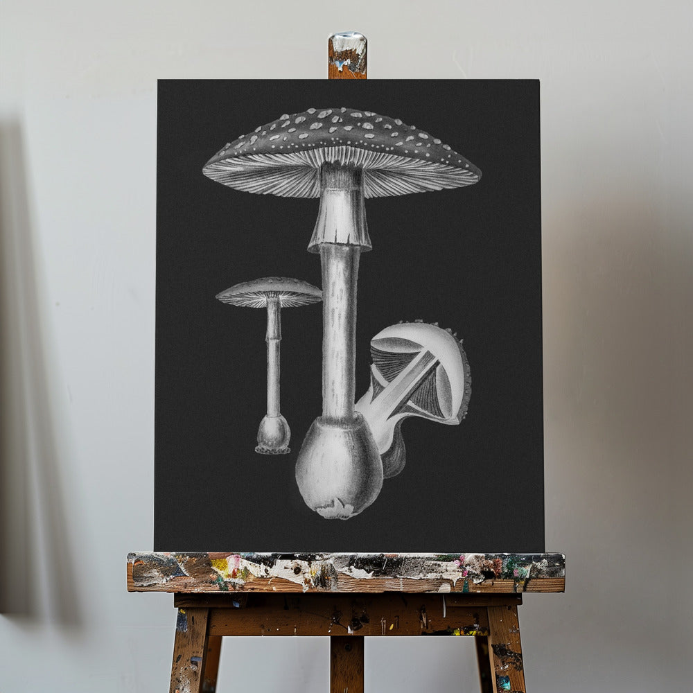 Amanita Muscaria Dark Background BW | Canvas