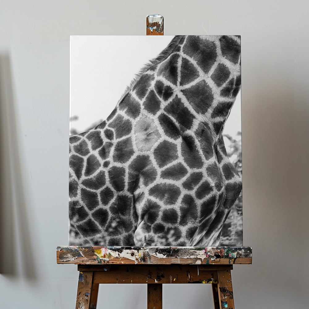 Super Safari n° 3 | Tableaux sur Toile