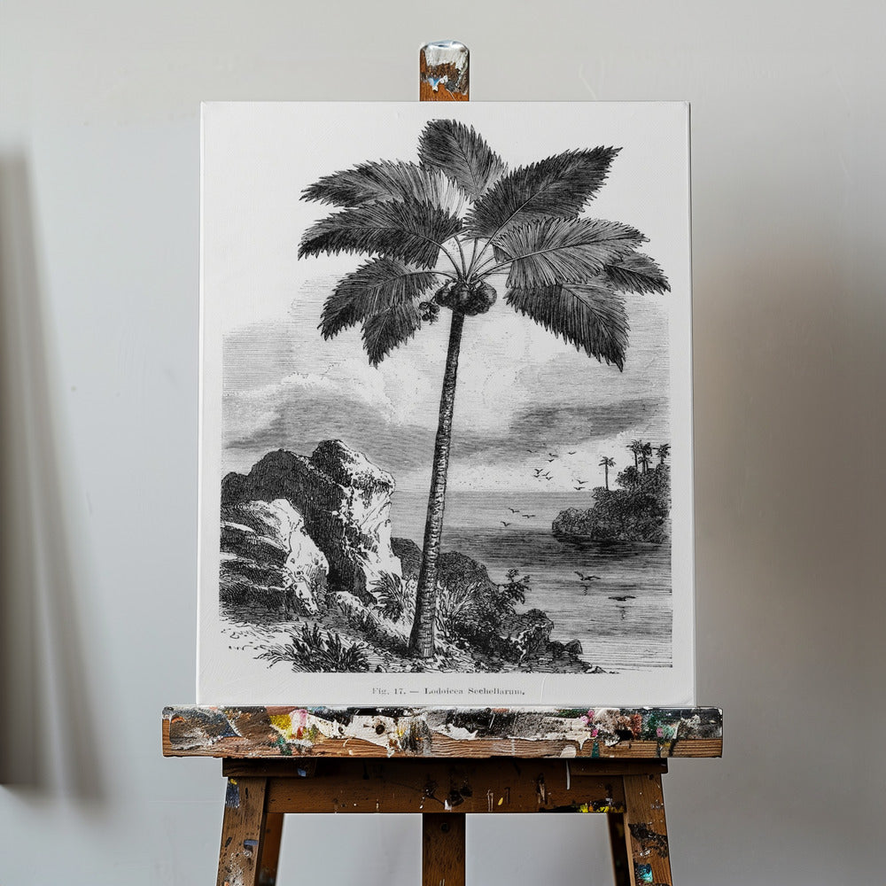 Vintage palmträdteckning I | Canvas