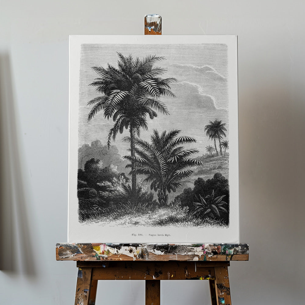 Vintage palmträdteckning V | Canvas