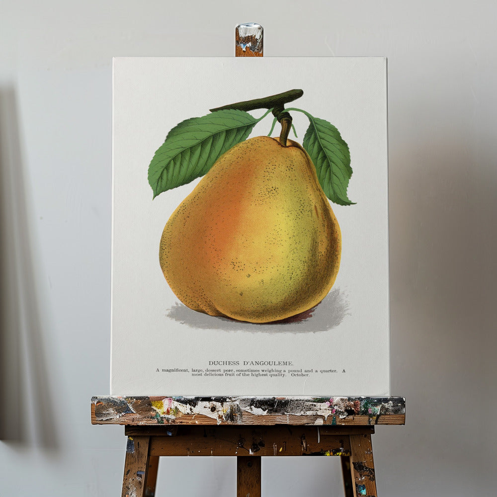 Herzogin D'angouleme Birnenlithographie | Leinwand