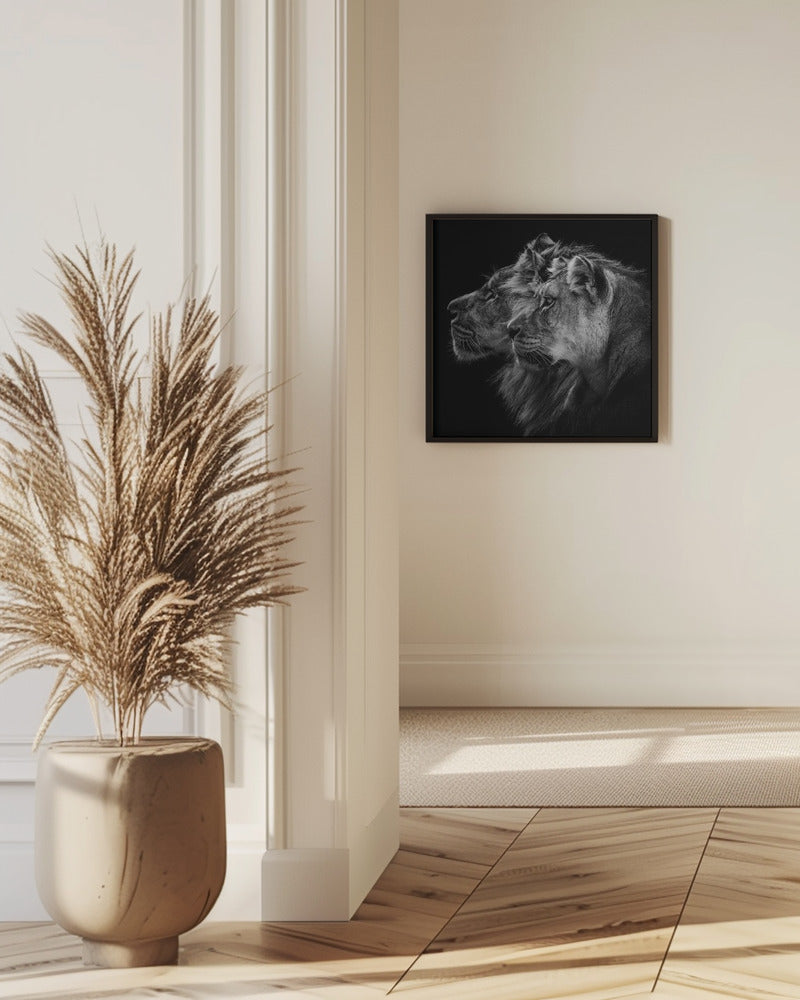 Lion and  lioness portrait | Poster