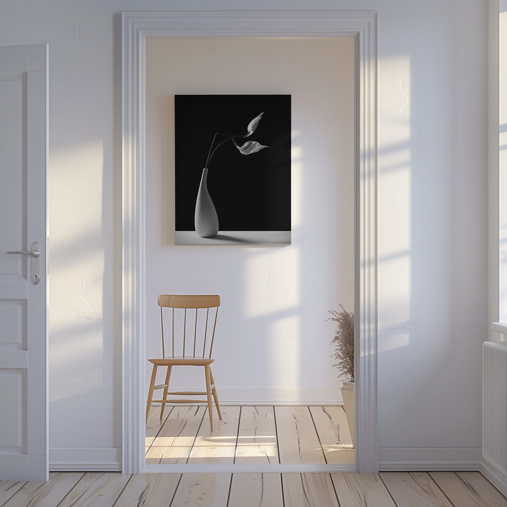 Passionately | Canvas