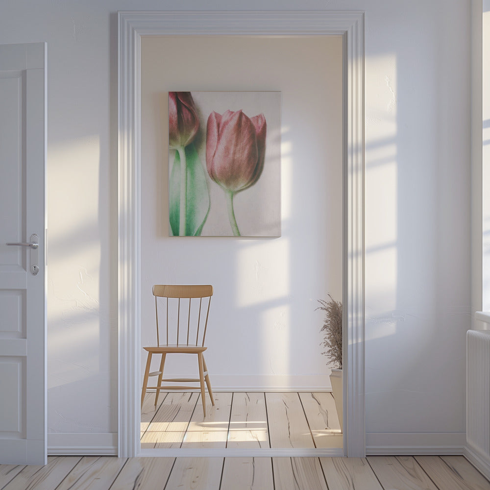 Les amoureux du printemps | Tableaux sur Toile