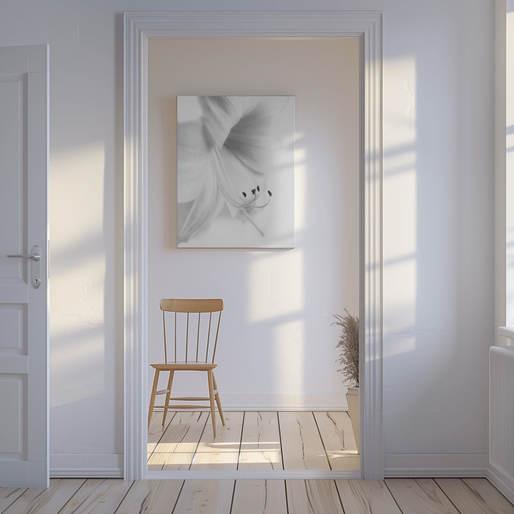 Blanc sur blanc | Tableaux sur Toile