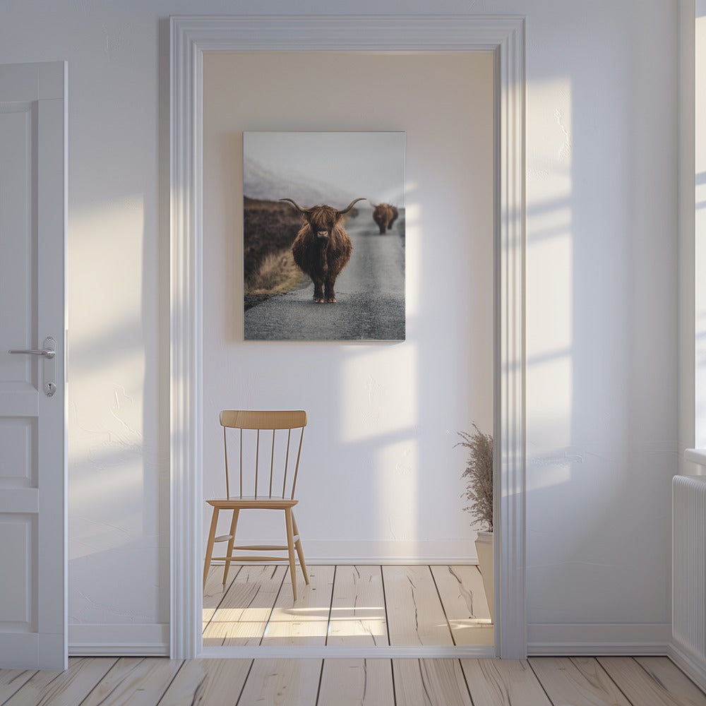 Cow | Canvas