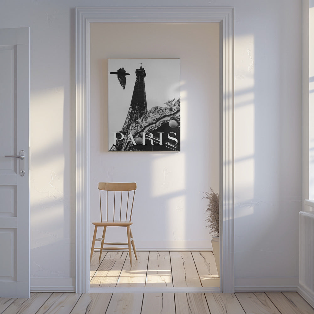 Paris Dove | Canvas