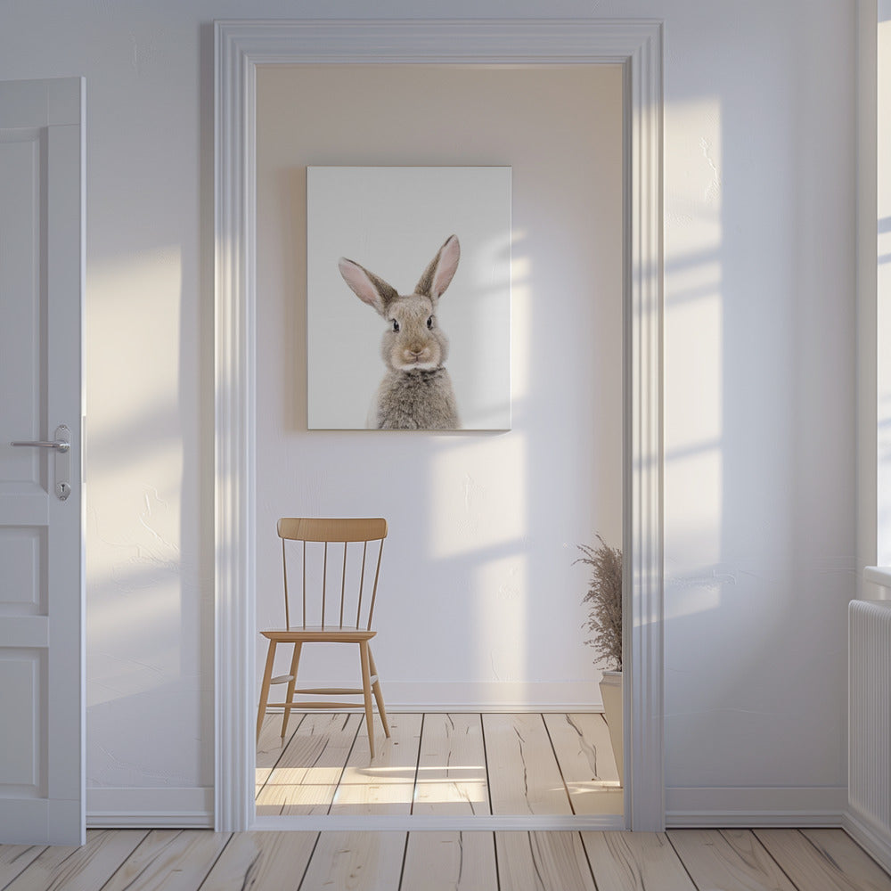 Baby Konijn | Canvasprints