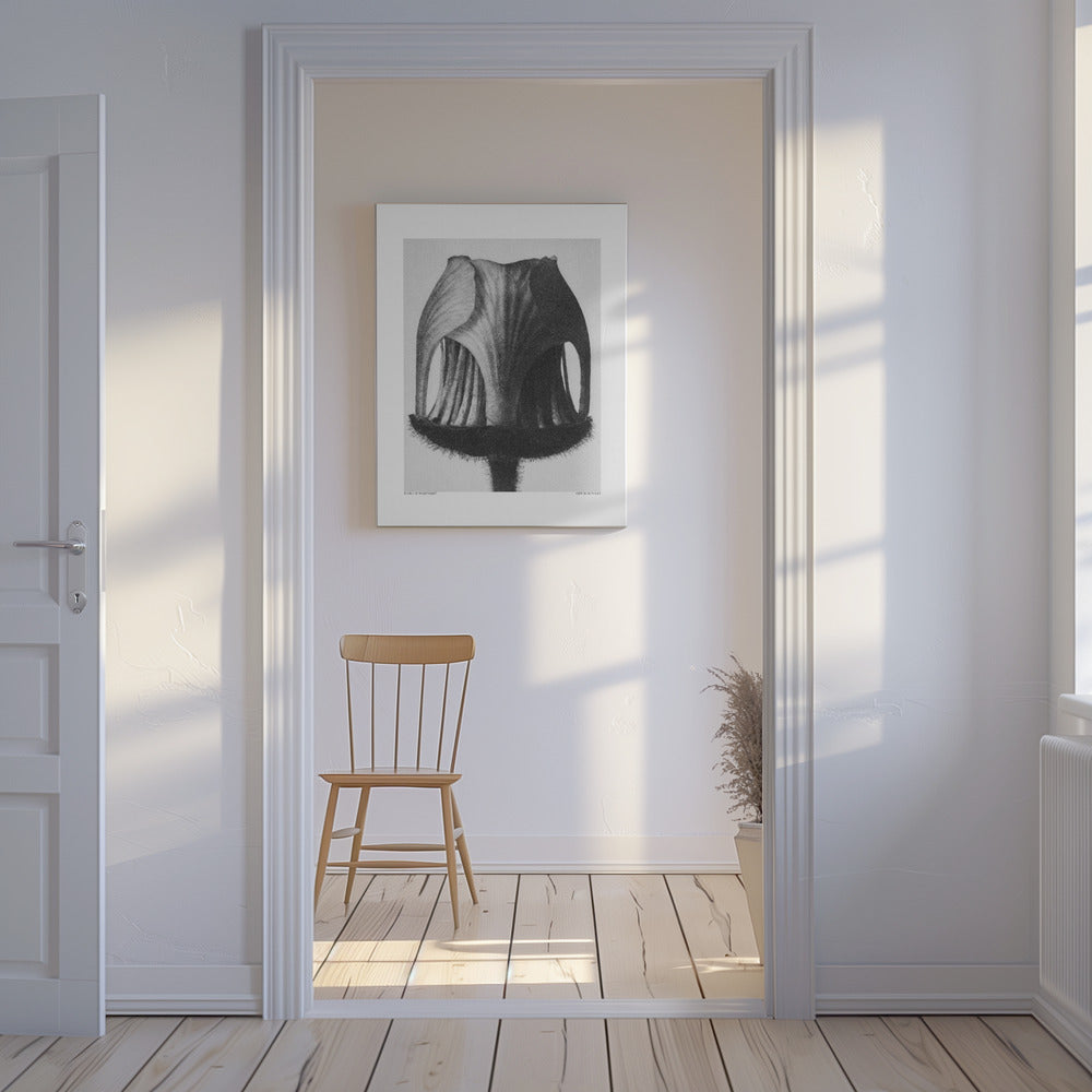 Geum Rival | Tableaux sur Toile
