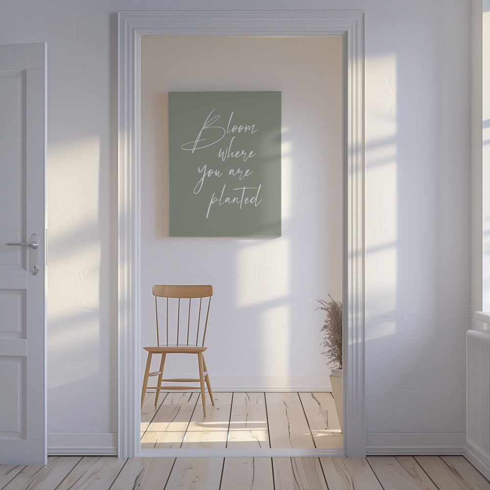 Florecer | Impresiones en Lienzo
