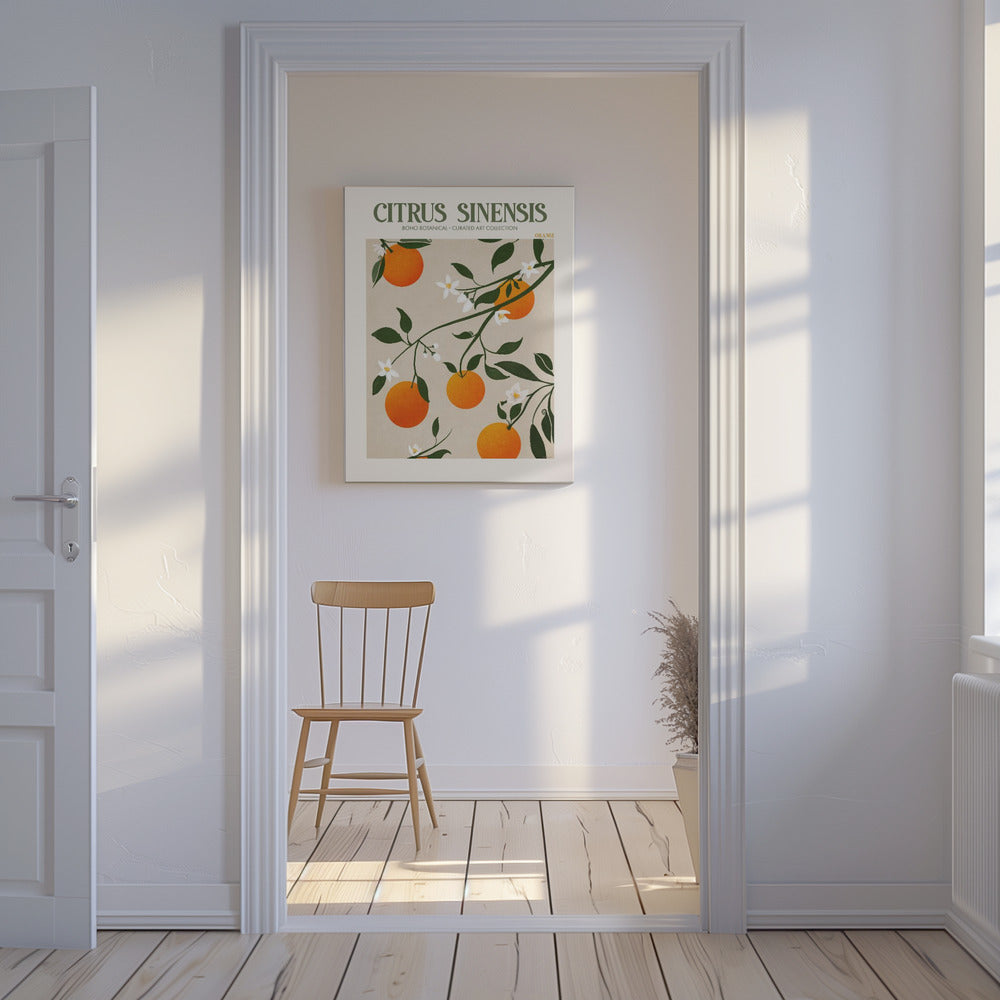 Citrus Sinensis – Orange | Leinwand-Bilder