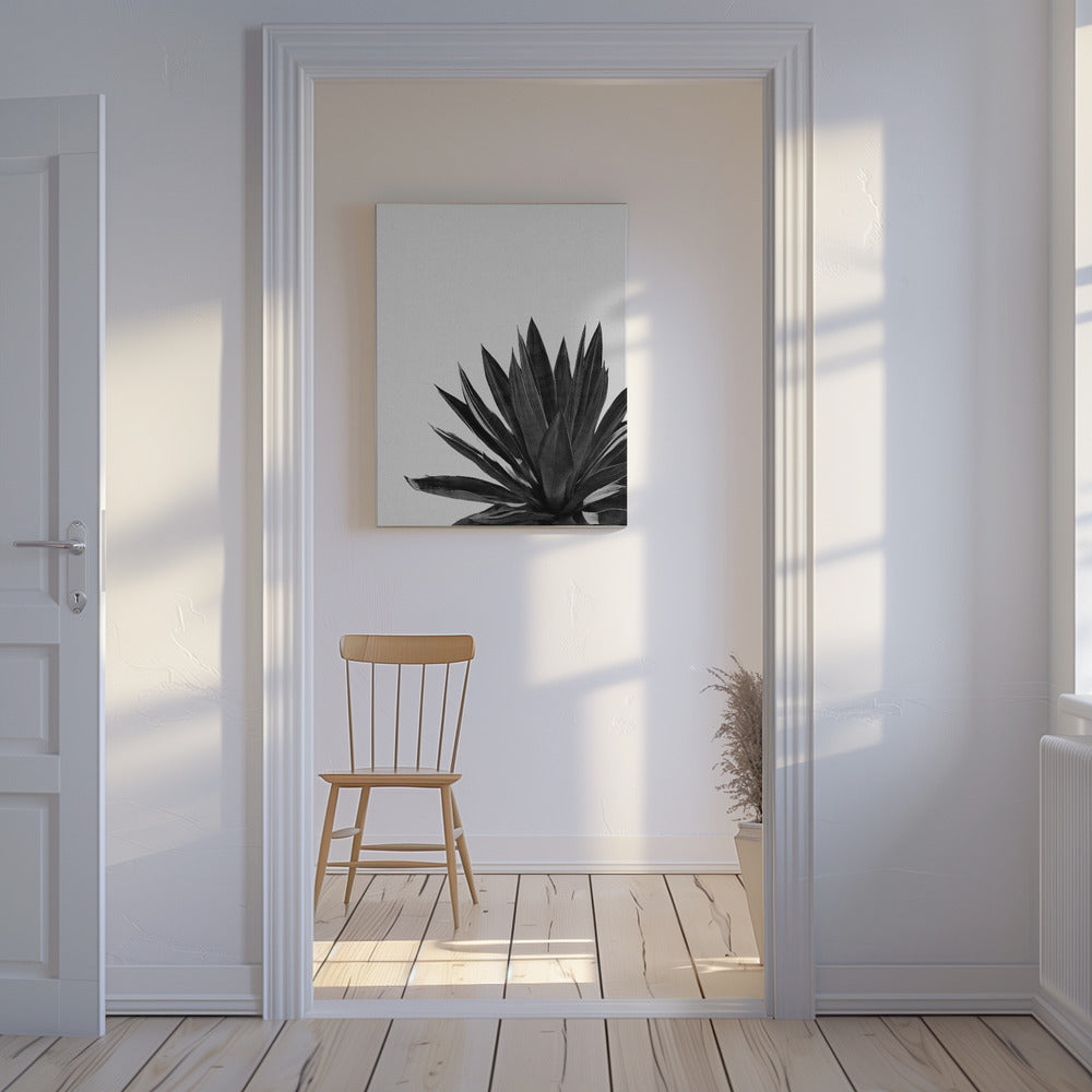 Agave Cactus Black & White | Canvas