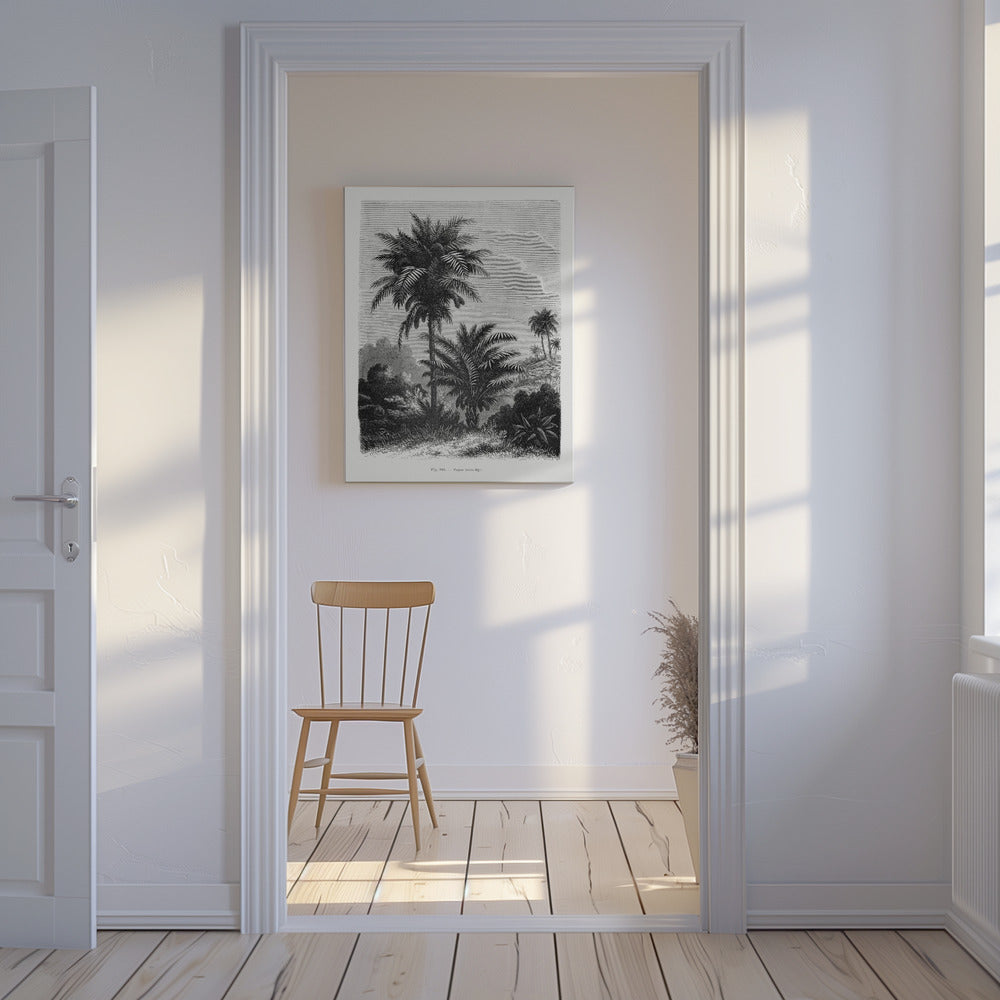 Vintage palmträdteckning V | Canvas
