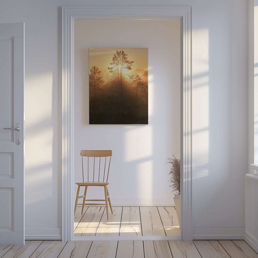 20220809  Dsf8009 Hdr 1 | Canvas