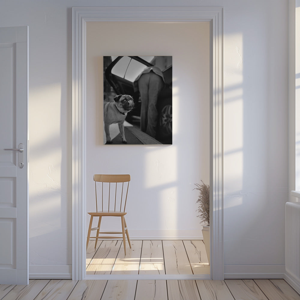 Untitled | Canvas